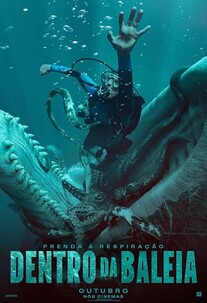 Cartaz de Dentro da Baleia